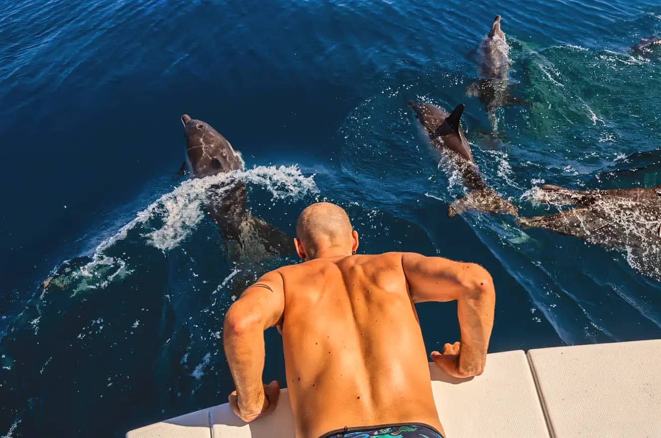 Avistamiento de delfines en Manilva