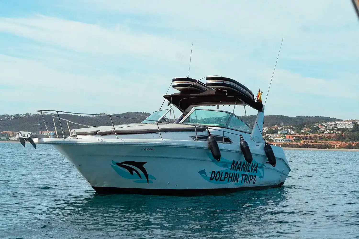 Sea Ray 33