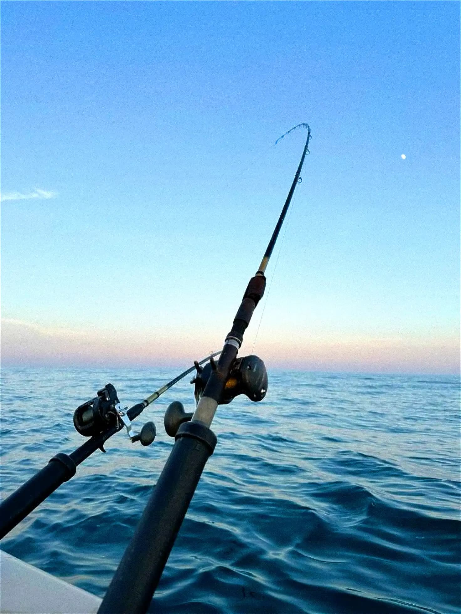 Pesca