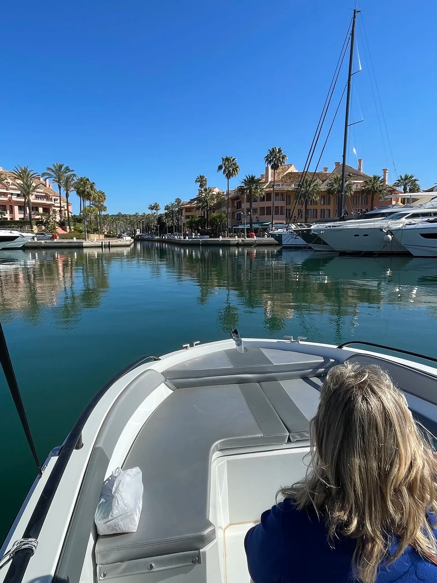 Private Tour to Sotogrande - imagen 1
