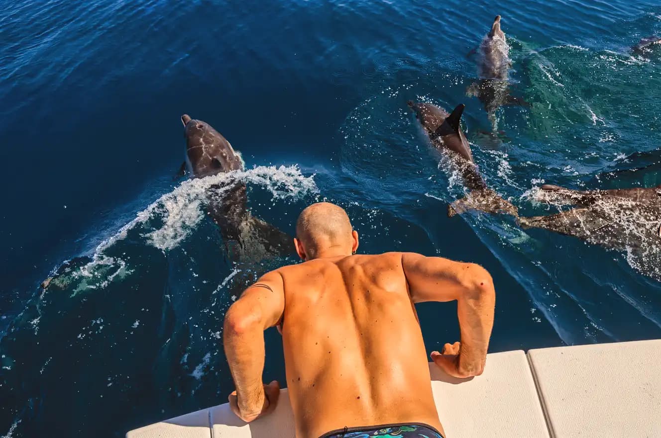 Avistamiento de delfines en Manilva - imagen 1