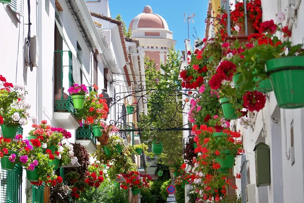 Paseo marítimo y casco antiguo