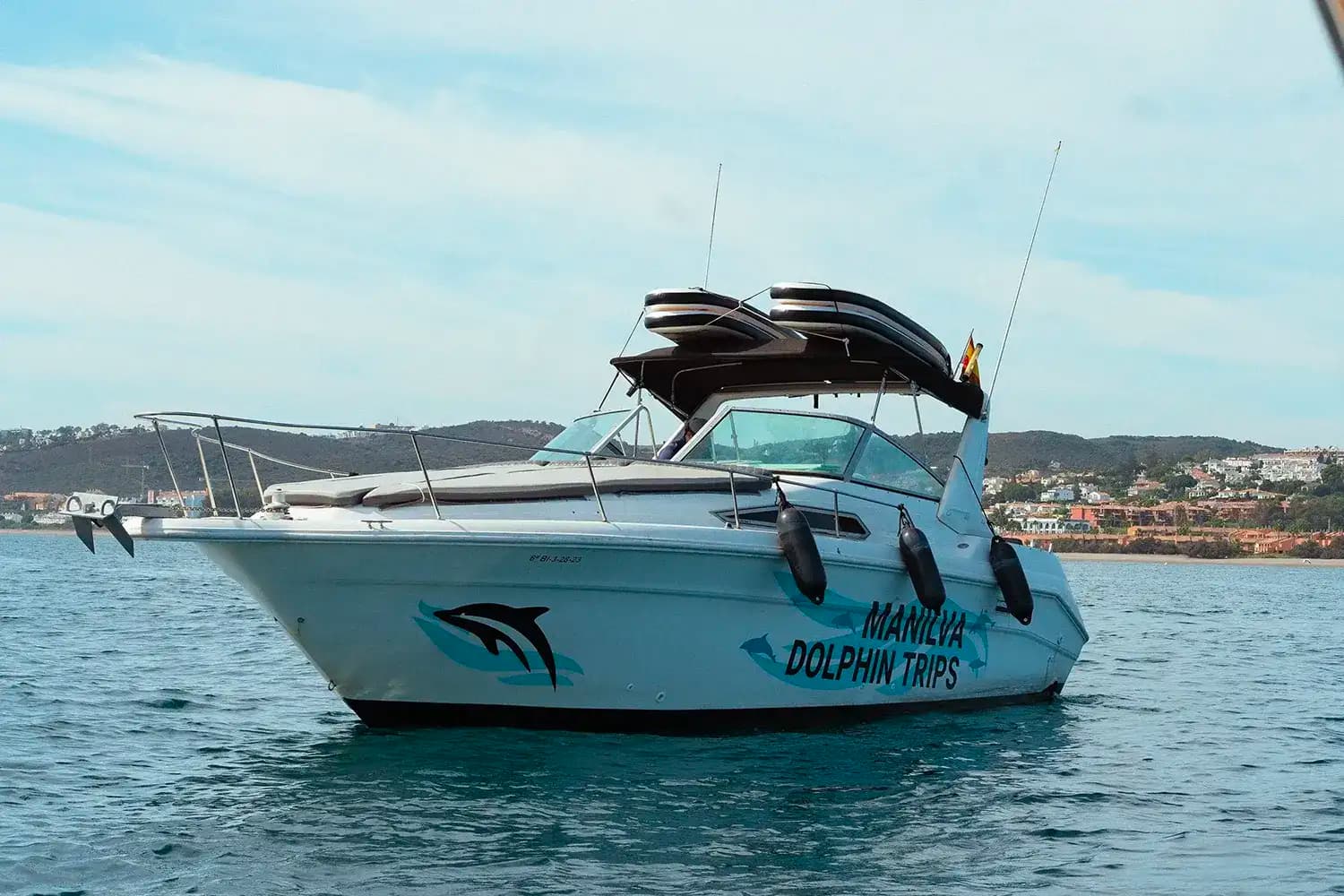 Sea Ray 33 - 1